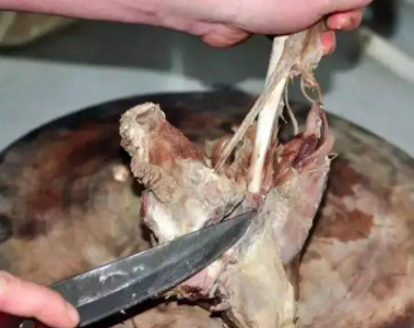 高手剔羊肉