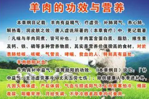 小羊肉功效